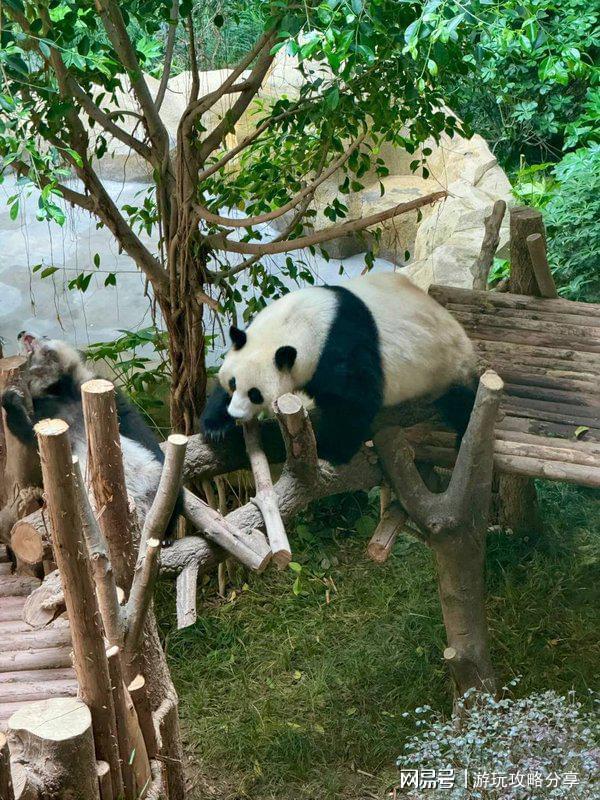四川适合几月份去旅游景点 玩转精华！z6尊龙·中国网站成都的著名景点推荐(图3)