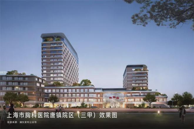 明梯厅类一梯一户全屋飘窗叠加泳池会所z6尊龙网站保利天奕户型图官宣！全(图9)
