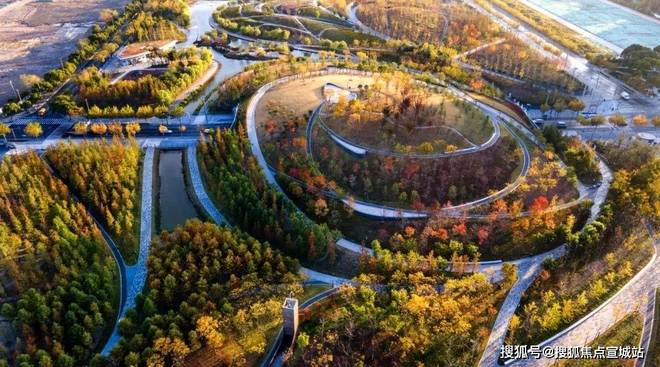 金茂府网站发布)2025年房价_户型配套尊龙凯时·中国网站普陀金茂府售楼处(普陀(图4)